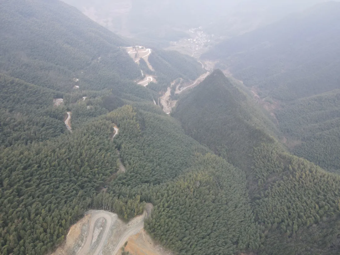 占全省比例近20%！青田全年完成51公里路林共建項目